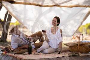 Portrait of happy couple having wine in cottage