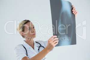 Female doctor examining X-ray