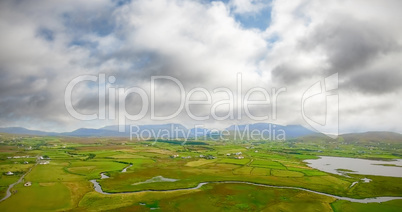 Calm view of green landscape