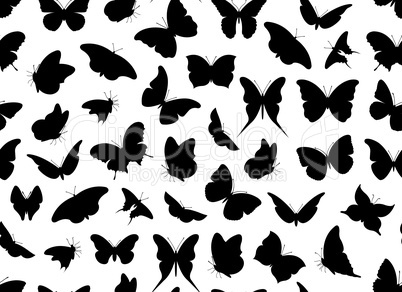 Butterfly seamless isolated