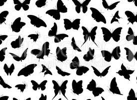 Butterfly seamless isolated