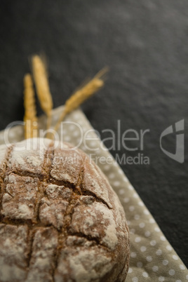 High angle view of brown bread