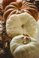 High angle view of pumpkins arranged by autumn leaves