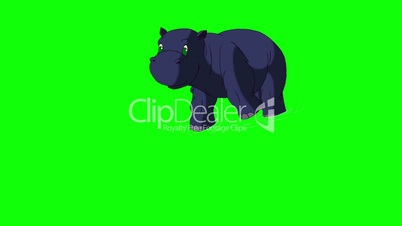 Little Blue Hippo Emerges from the Water Chroma
