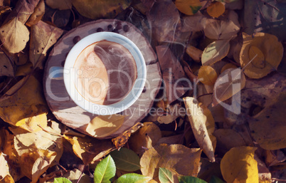 cup of black coffee  in the middle of autumn foliage