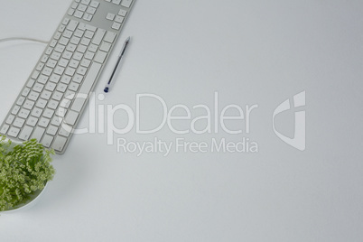 Keyboard, pen and pot plant on white background