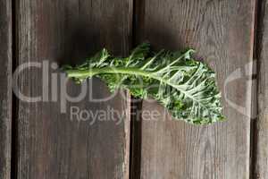 Fresh kale leaf on wooden table