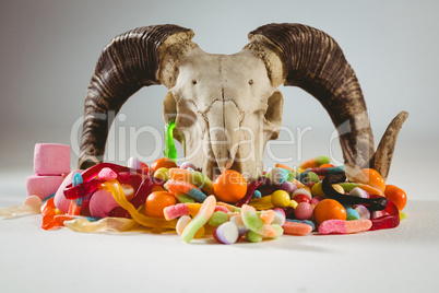 Animal skull with candies over white background
