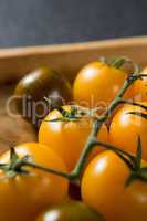 Close-up of cherry tomatoes in plate