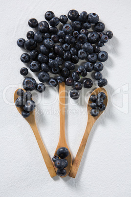 Blueberries arranged in a spoon on white background