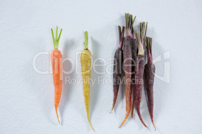 Root vegetables on a white background
