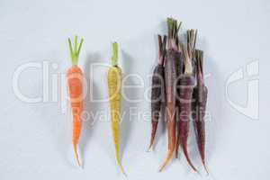 Root vegetables on a white background