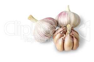 Garlic bulbs on white background.