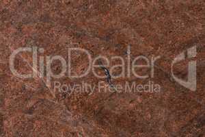 Red granite stone texture, expensive and precious.