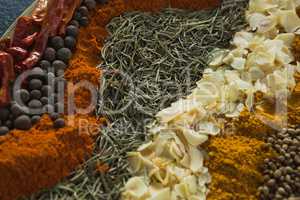 Various spices arranged in row