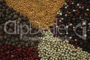 Various types of spices
