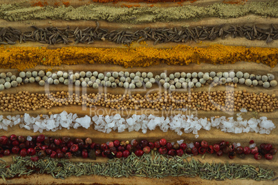 Various spices arranged in row