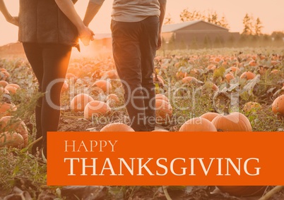 Happy thanksgiving text with couple in field of pumpkins