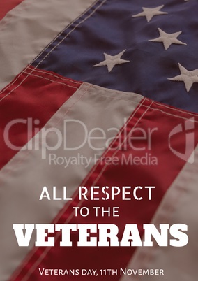 veterans day flag