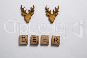 Deer words arranged in wooden blocks on white background