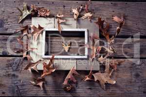 Frame and dry leaves on wooden plank