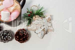 Chocolate drink and pines cones on white background
