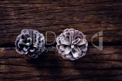 Pine cone on wooden plank