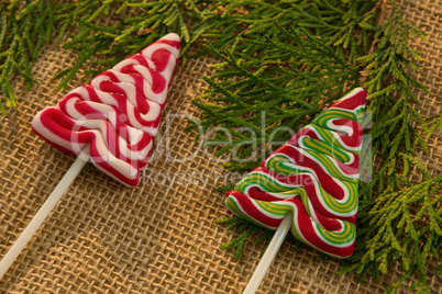 Close up of mint candies with pine twigs