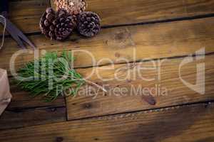 Fir and pine cone on wooden table