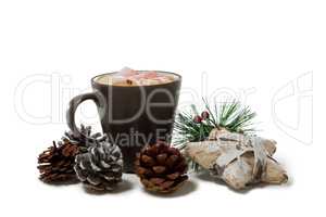 Chocolate drink and pines cones against white background