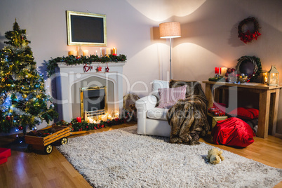 Living room with christmas tree, couch and christmas bag