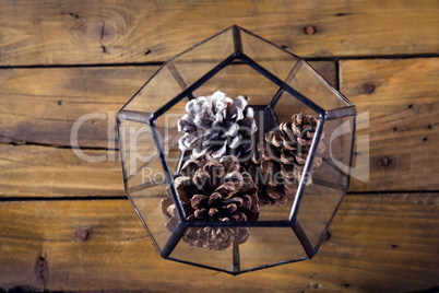 Pine cone in glass container