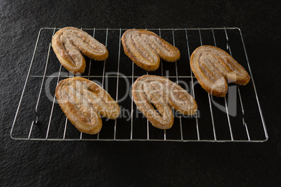 Fresh baked cookies on baking tray