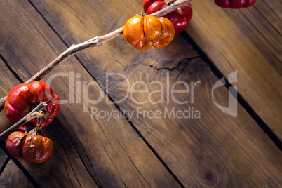 Mistletoe on wooden table