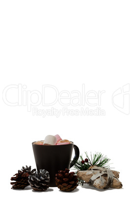 CChocolate drink and pines cones against white background