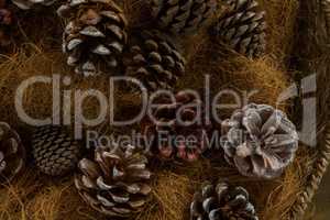 Overhead view of pine cones and hay in basket