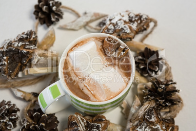 Chocolate drink and pines cones on white background