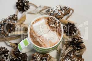 Chocolate drink and pines cones on white background