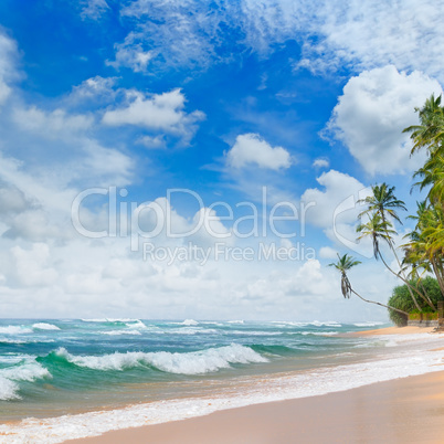 beach and tropical sea