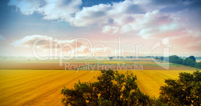 Landscape of multiple grass field