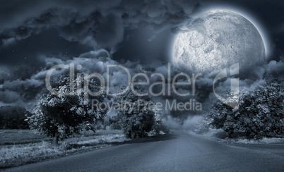 Landscape of a road between trees in front of the moon