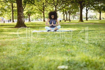 Woman performing yoga in the park