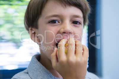 Portrait of boy eating apple