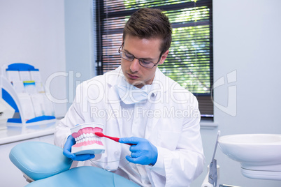 Dentist brushing dental mold