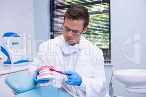 Dentist brushing dental mold