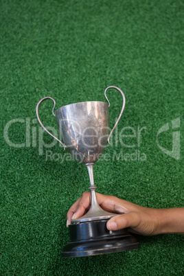 Hand holding a trophy on artificial grass