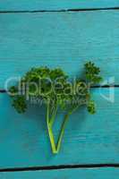Fresh coriander leaves on wooden table