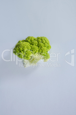 Broccoli on a white background Broccoli on a white background