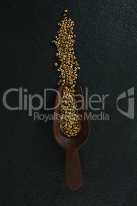 Coriander seeds in a wooden scoop
