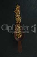 Coriander seeds in a wooden scoop